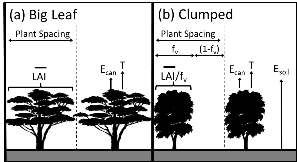 Partial Vegetation Cover Schematic