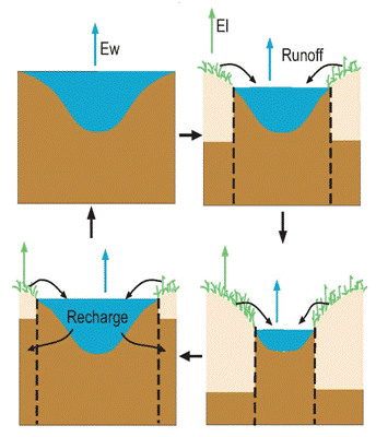 VIC Dynamic Lake/Wetland Model Link